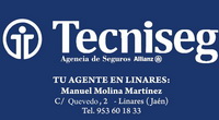 Tecniseg Patrocinador del Infantil Femenino